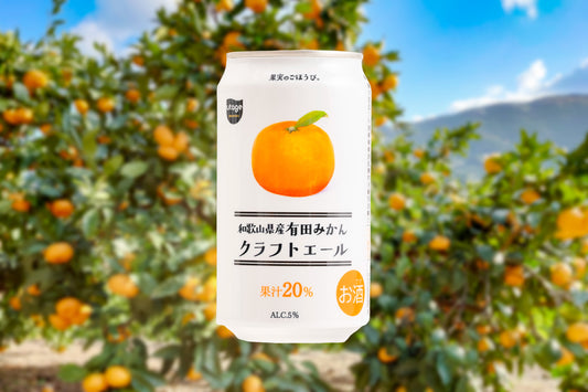 和歌山県産有田みかんクラフトエール　24本セット