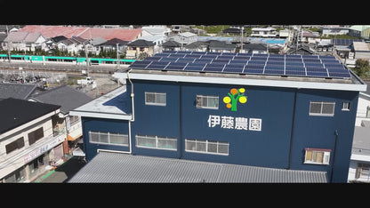 和歌山県産有田みかんクラフトエール　24本セット